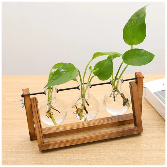 Wooden Propagation Stand | Triple Glass Bud Vase Set | Plant Lover Gift