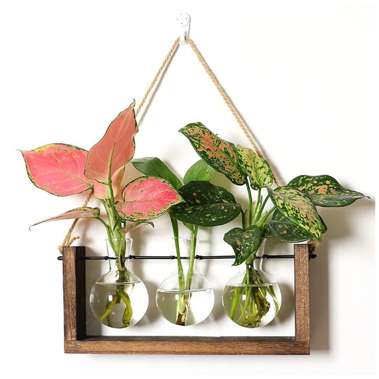 Wooden Propagation Stand | Triple Glass Bud Vase Set | Plant Lover Gift