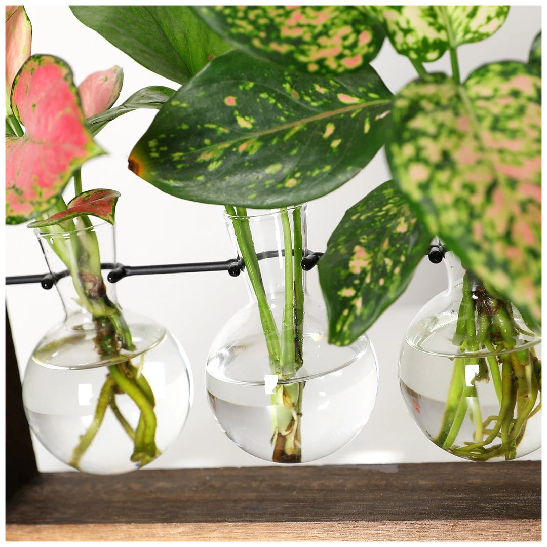 Wooden Propagation Stand | Triple Glass Bud Vase Set | Plant Lover Gift