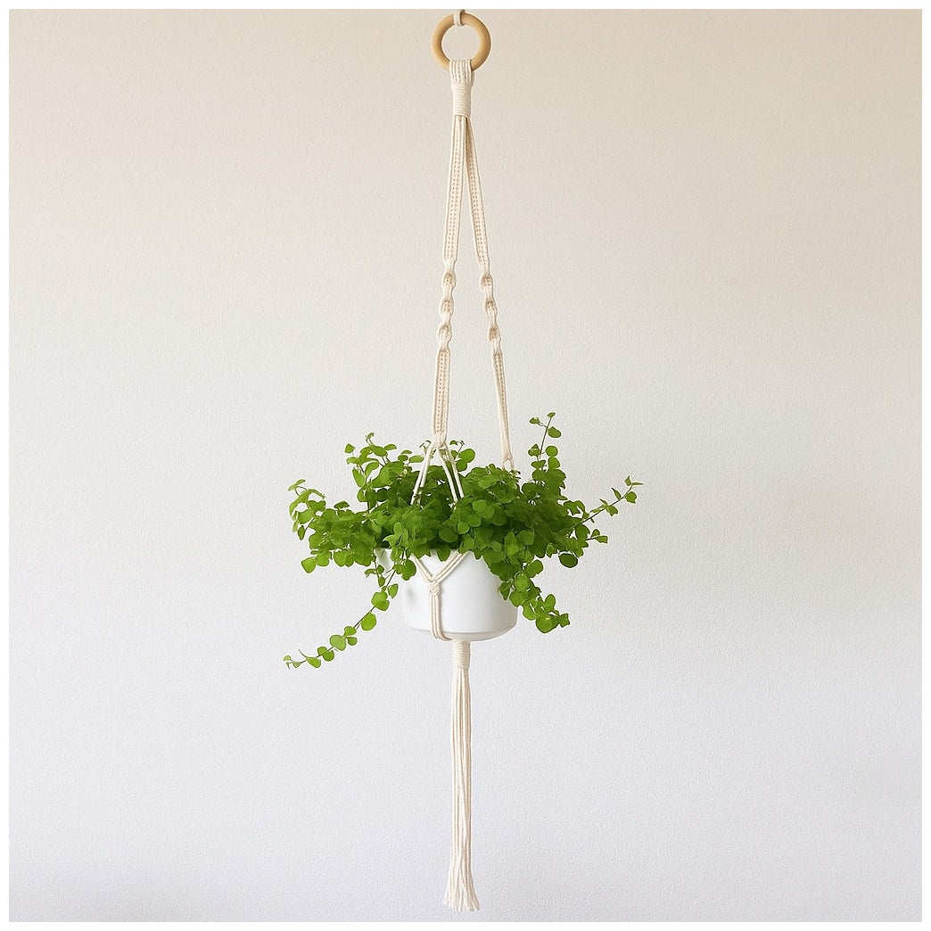 Macramé Hanging Planter | Handwoven Cotton + Ceramic Pot | Boho Decor