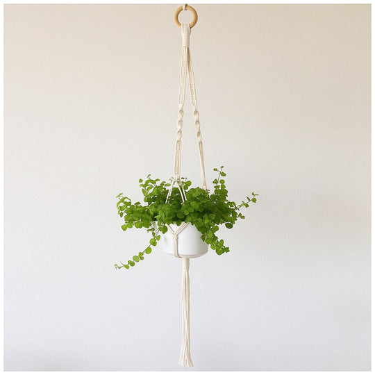Macramé Hanging Planter | Handwoven Cotton + Ceramic Pot | Boho Decor