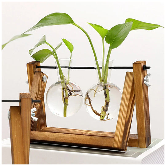 Wooden Propagation Stand | Triple Glass Bud Vase Set | Plant Lover Gift